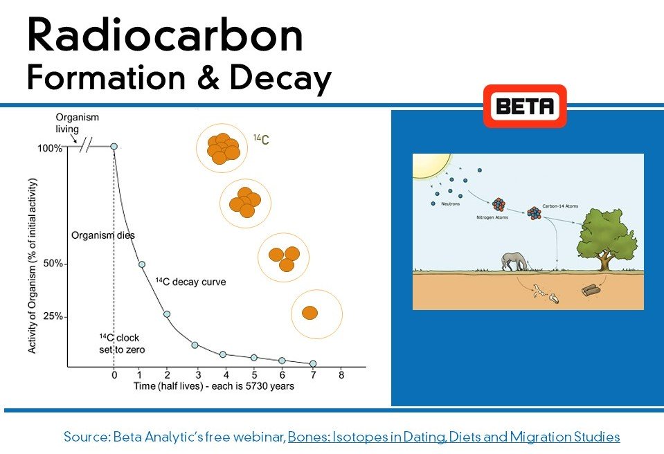 Morphometric affinities and direct radiocarbon dating of the Toca